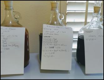 Image ofHomebrewing